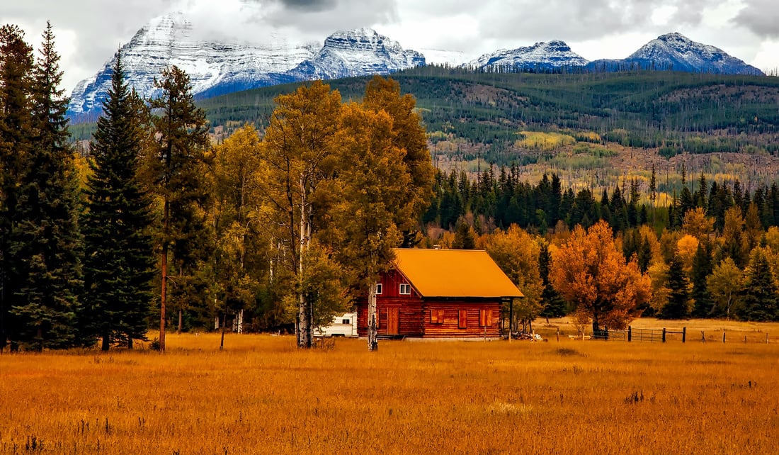 Cabin Log by the Forest